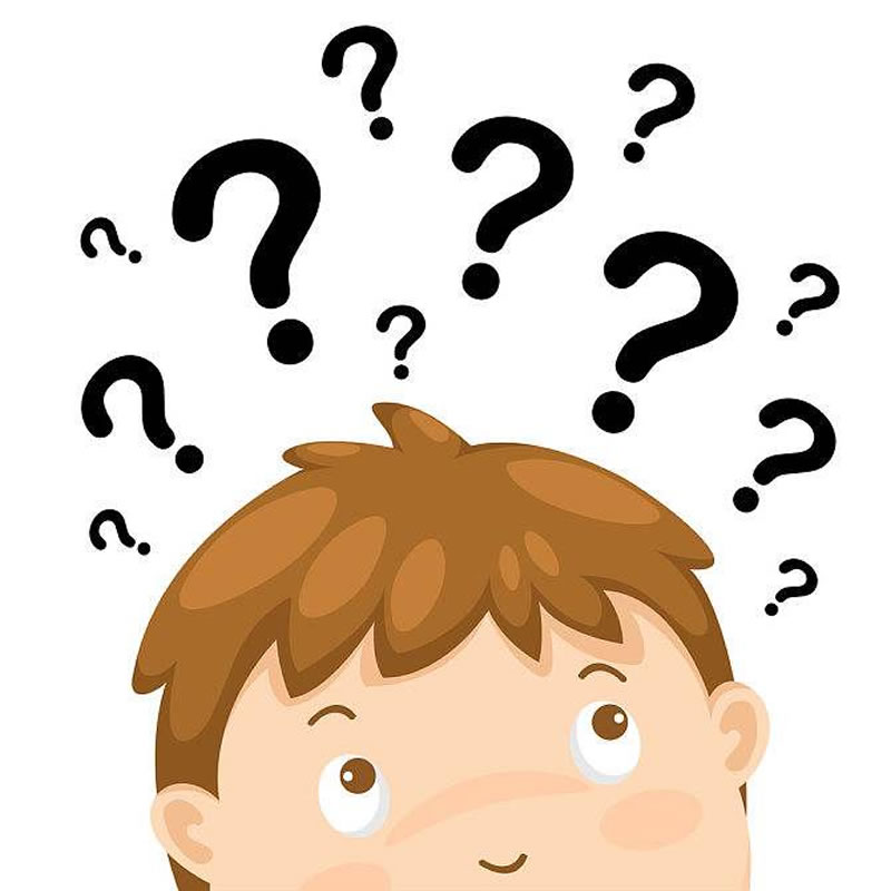 水解雞肝生產寵物誘食劑用什么酶？