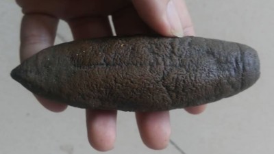 海參外皮怎么處理干凈，使用木瓜蛋白酶還是復合酶呢