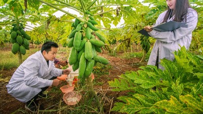 酶制劑公司排名：哪個廠家在食品、飼料、工業領域拔得頭籌