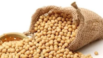 大豆豆粕酶解技術在飼料行業的應用