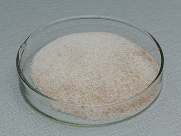 風味酶（氨肽酶，復合風味蛋白酶）Flavourzyme