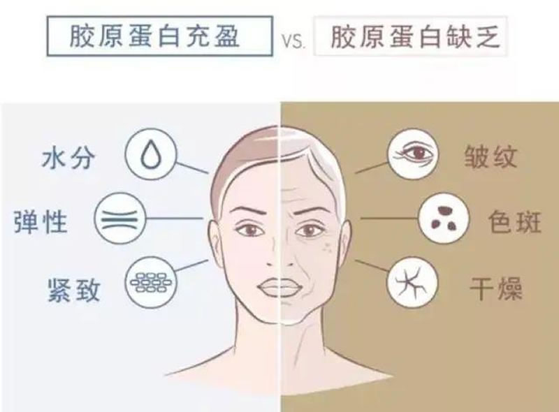 鱈魚皮膠原蛋白肽的應用