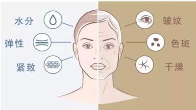 酶解鱈魚皮制備膠原蛋白的影響因素有哪些？