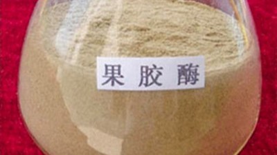 果膠酶的作用原理，正確使用方法與用量