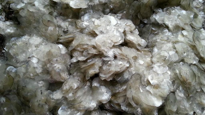 堿性蛋白酶酶解魚鱗制備膠原蛋白多肽，成品有沉淀？