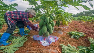 2025生物酶制劑行業發展趨勢
