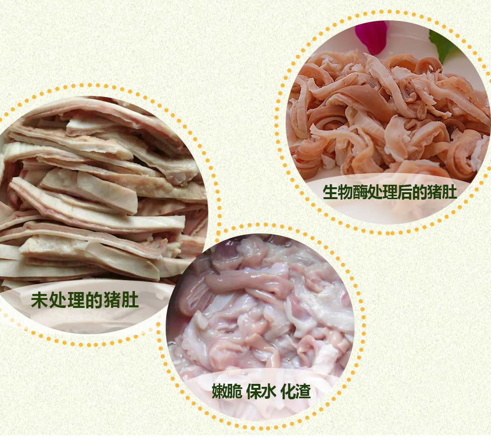 豬肚泡發