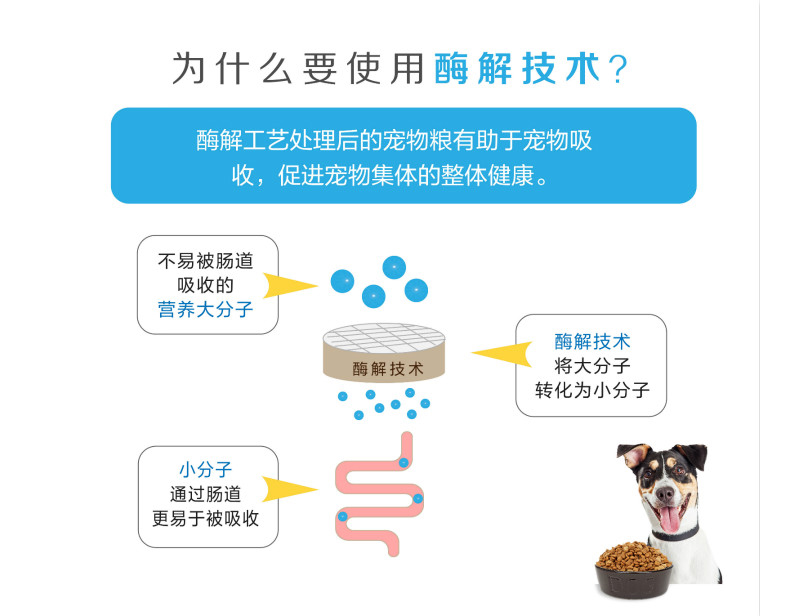 生產寵物誘食劑