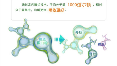 木瓜蛋白酶及堿性蛋白酶，哪一款適合骨膠原蛋白肽的生產