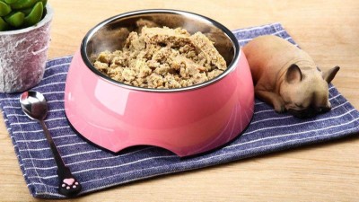 牛肉蛋白質酶解制備寵物誘食劑，如何選酶？