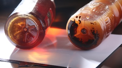 酒曲與酶制劑有什么區別？兩個可以同時使用嗎？