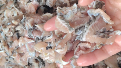 堿性蛋白酶助力魚溶漿酶解生產工藝升級