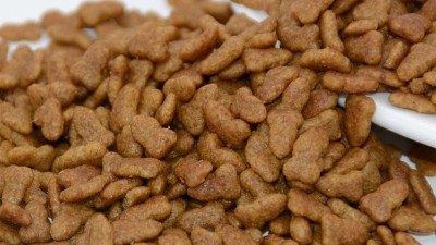 蛋白酶在寵物誘食劑生產中的應用