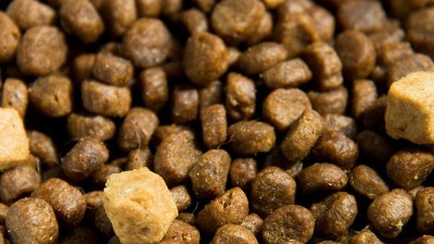 酶解技術在貓糧誘食劑中的應用優勢