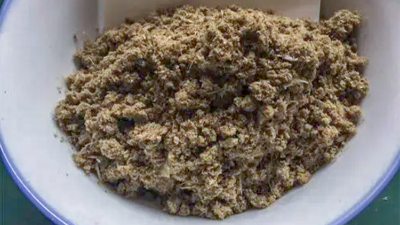 酶解復配技術，協同提升魚粉消化吸收率