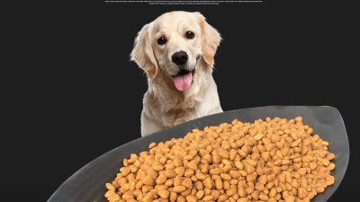 寵物犬糧風味劑的生產離不開酶制劑的應用