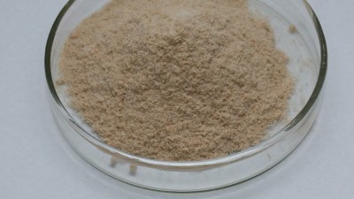 堿性蛋白酶在洗滌劑行業的應用前景