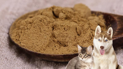 如何酶解雞肝粉生產熱反應型寵物誘食劑？
