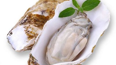 生產牡蠣低聚肽與多肽會用到哪些酶制劑