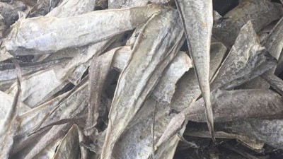 水解魚皮做膠原蛋白肽有苦味，風味酶能去除苦味嗎？
