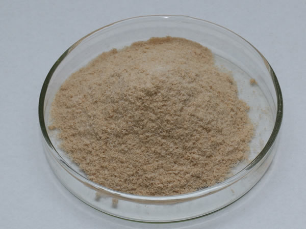 膜清洗酶（膜清洗劑，洗滌酶）